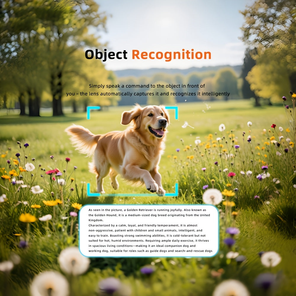 description_selected4